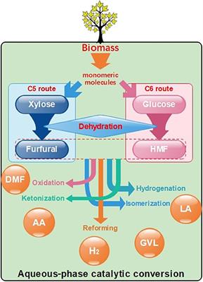 Recent Advances in Aqueous-Phase Catalytic Conversions of Biomass Platform Chemicals Over Heterogeneous Catalysts